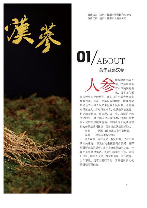 参 中上品是汉参1