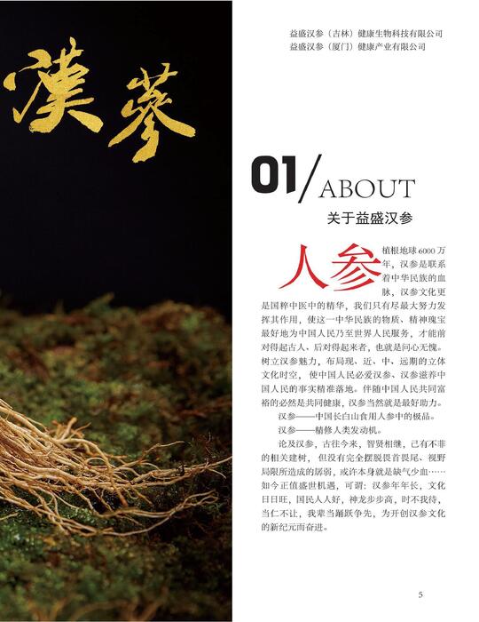 参 中上品是汉参新