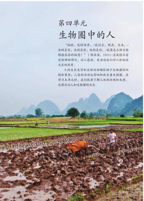 生物七年级下