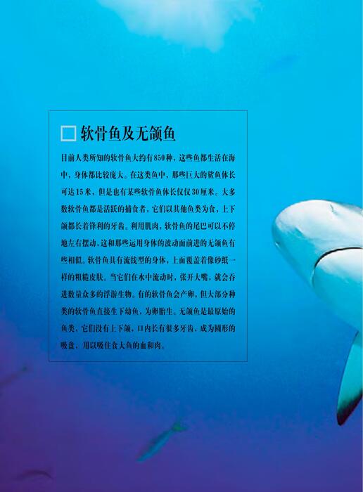 陈力漫-动物世界百科全书-软骨鱼及无颚鱼