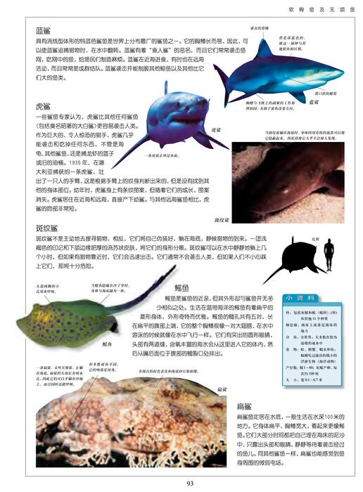 陈力漫-动物世界百科全书-软骨鱼及无颚鱼