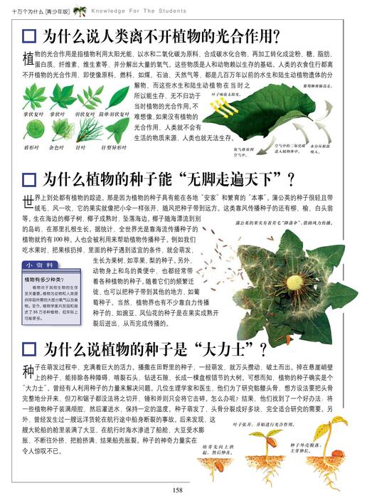 植物王国