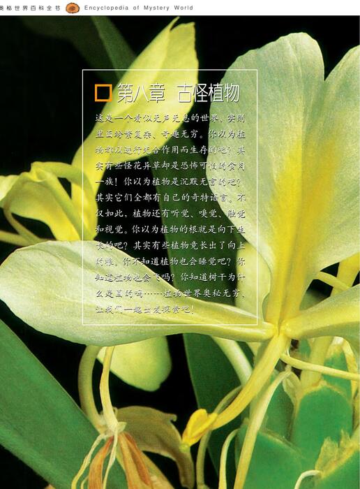 陈力漫-奥秘世界百科全书-古怪植物