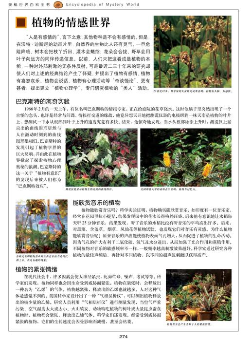 陈力漫-奥秘世界百科全书-古怪植物