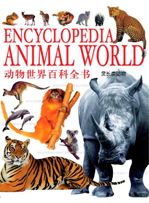 陈力漫-动物世界百科全书-灵长类动物