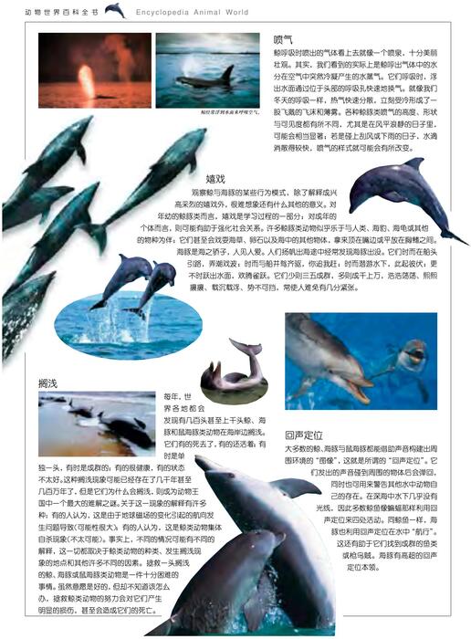 陈力漫-动物世界百科全书-海洋类动物