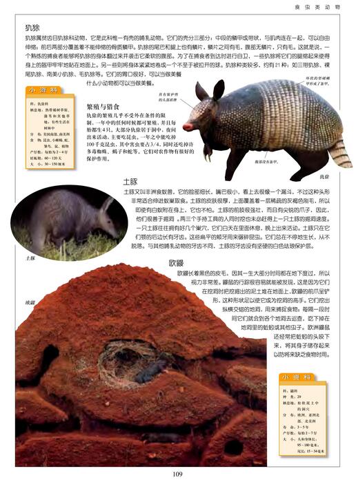 陈力漫-动物世界百科全书-食虫类动物