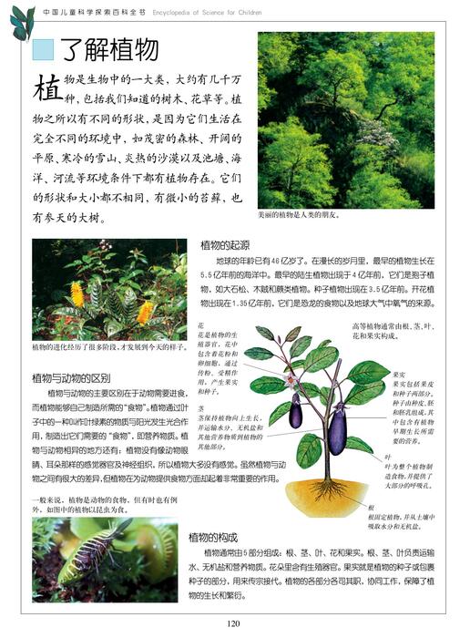 走进植物王国