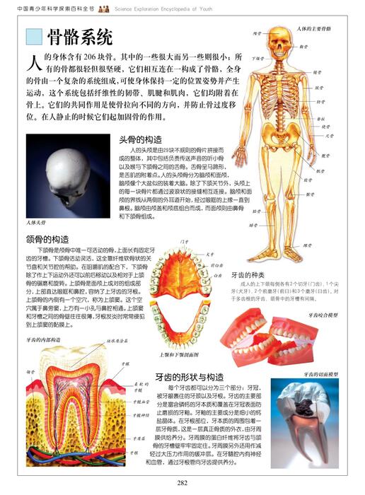 人体探秘