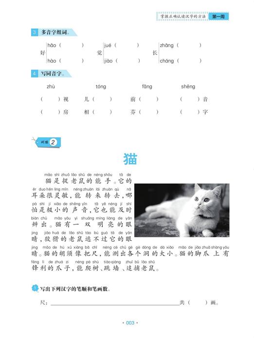 （1）pdf