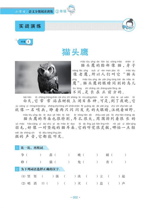 （1）pdf