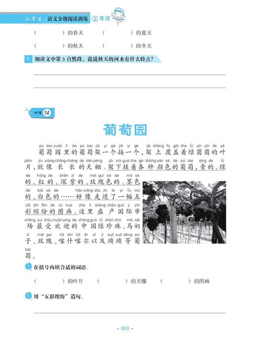 （4）pdf