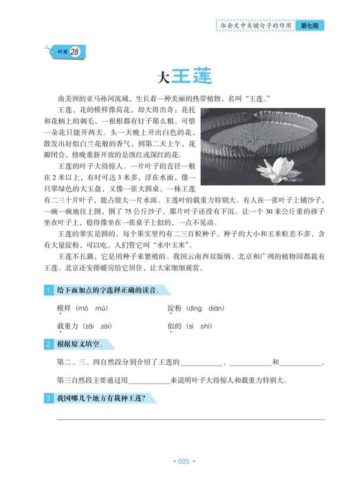 （7）pdf