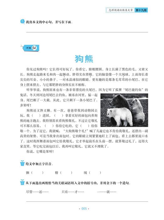 （19）pdf