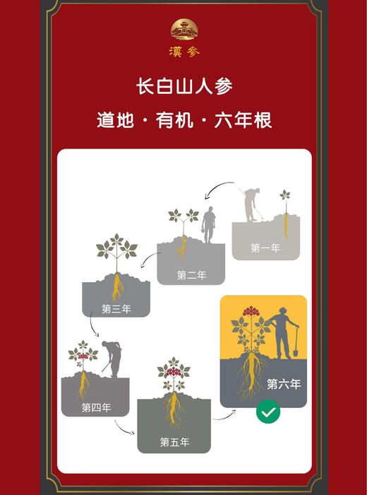 汉参膏