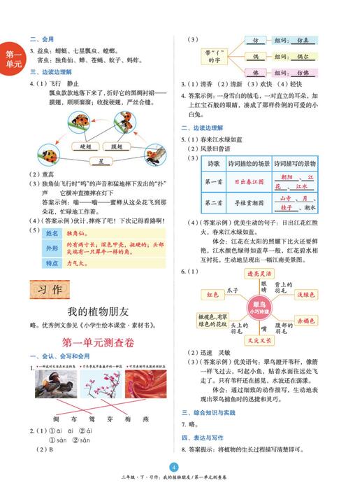 3年级语文绘本-b2-六三版