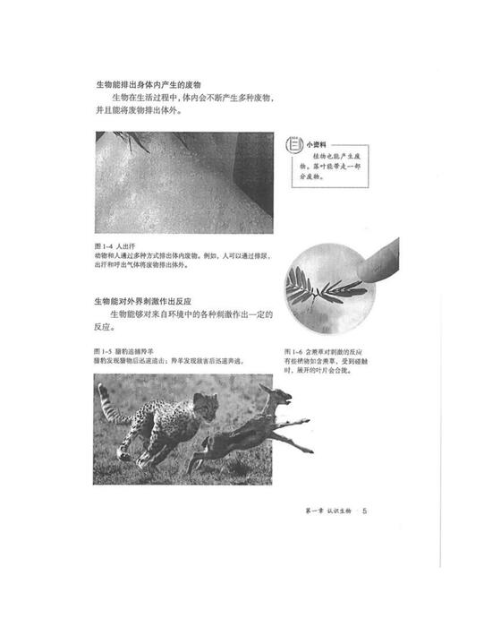 人教版生物七年级上册电子课本