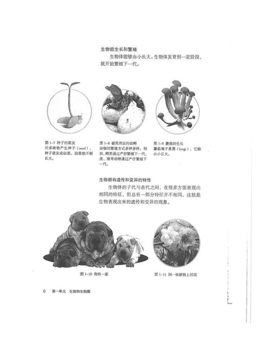 人教版生物七年级上册电子课本