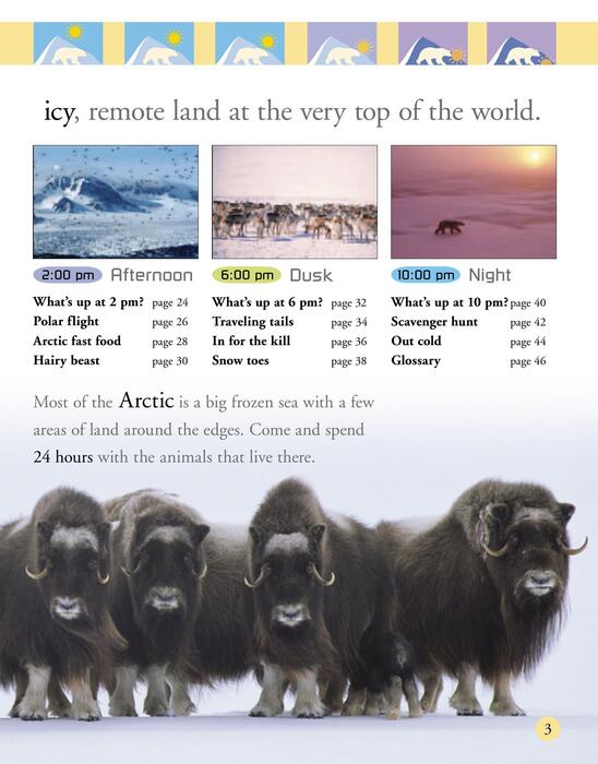 arctic-2007