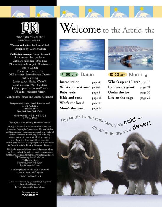arctic-2007
