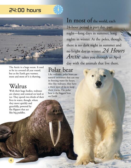 arctic-2007