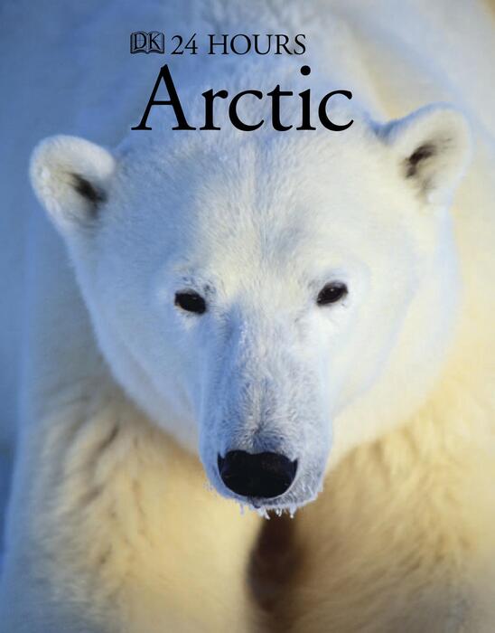 arctic-2007