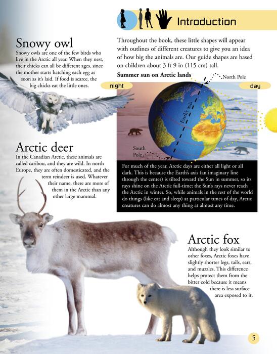 arctic-2007