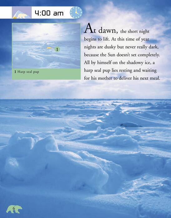 arctic-2007