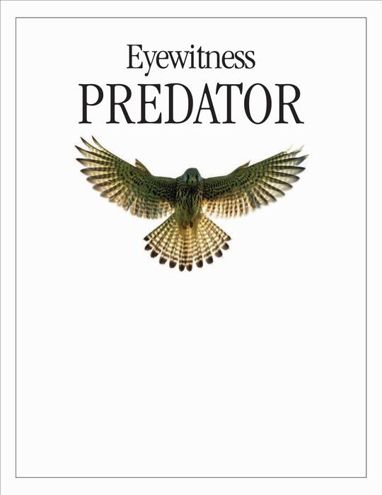 predator-2011