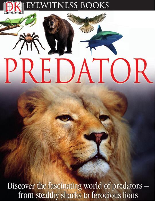 predator-2011