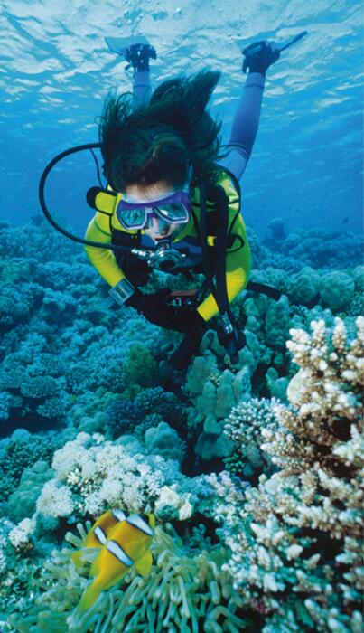 scuba_diving-2006