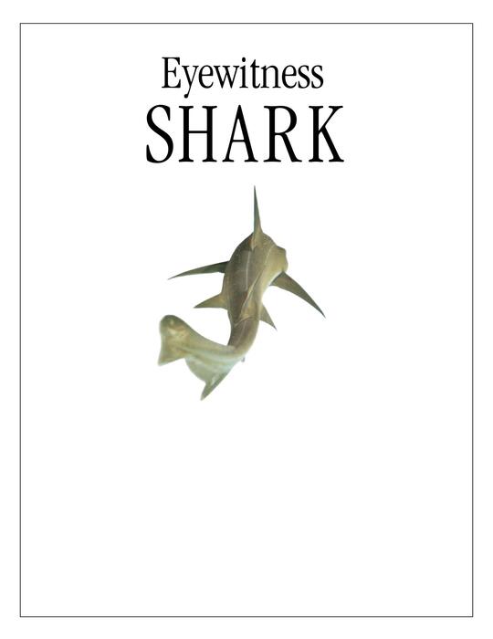 shark-2008