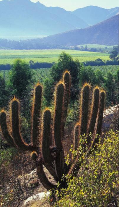 chile_&_easter_island-2011