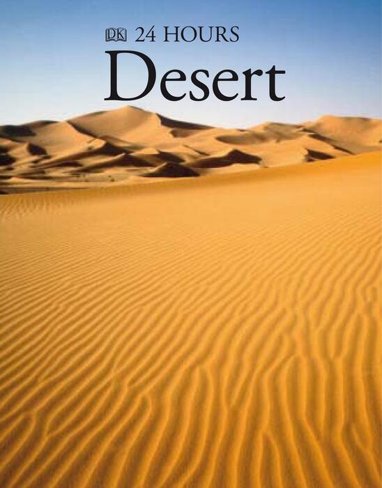 desert-2006