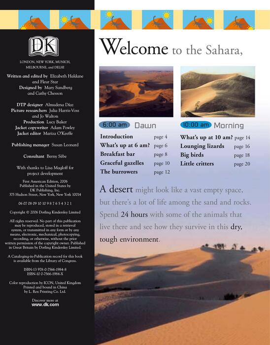 desert-2006