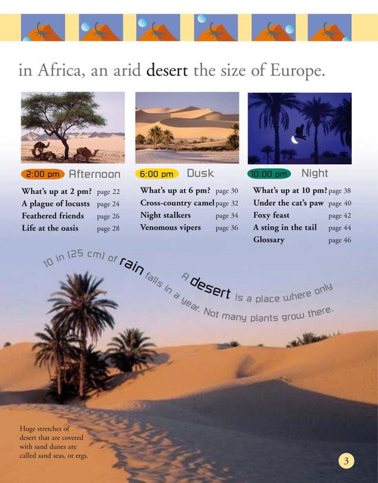 desert-2006