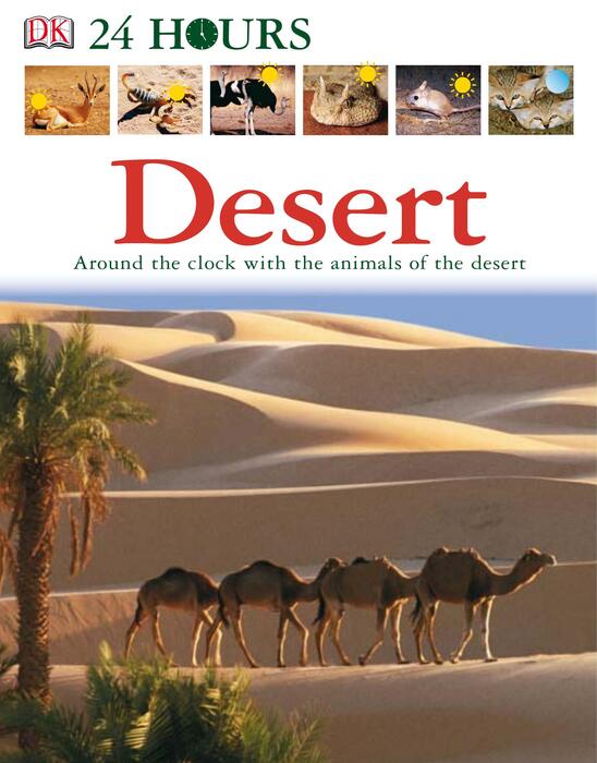 desert-2006 desert-2006