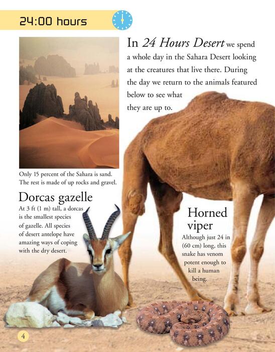 desert-2006