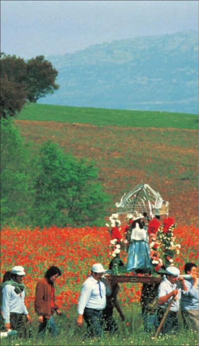 spain-2011