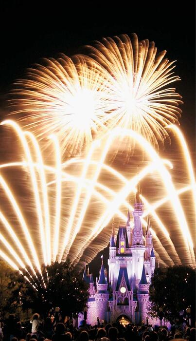 walt_disney_world_resort_&_orlando-2008