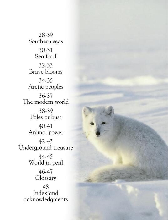 arctic_and_antarctic-2006