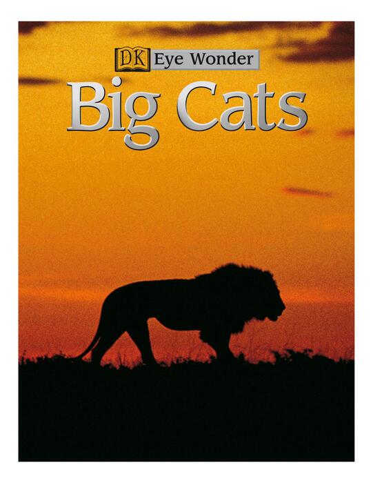 big_cats-2002