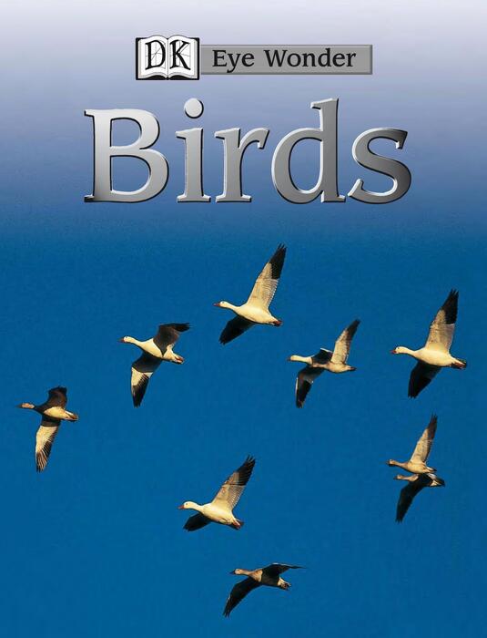 birds-2002