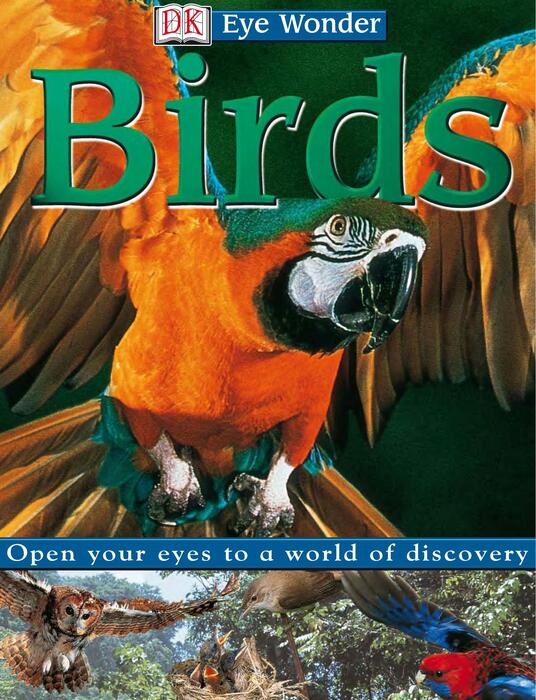 birds-2002 birds-2002