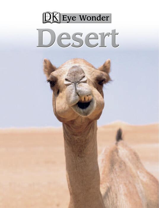 desert-2007