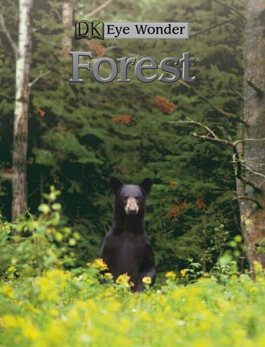 forest-2004 forest-2004