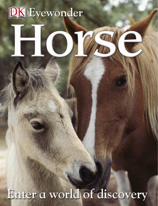 horse-2010 horse-2010