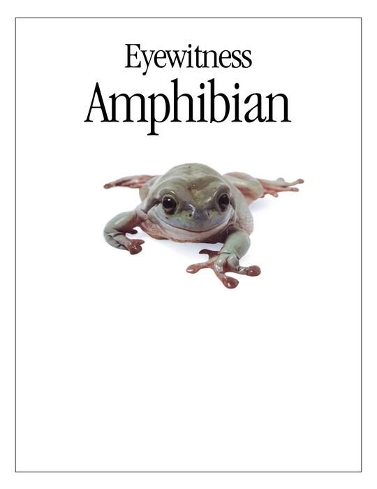 amphibian-2005