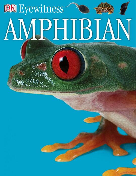 amphibian-2005