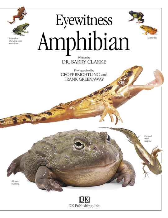 amphibian-2005